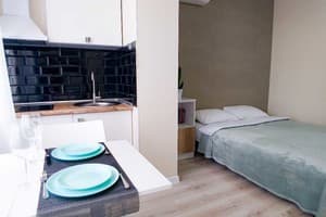 Квартира Еко студія на Залізничному вокзалі. Стандарт двухместный Еко студія 13