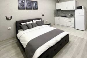 Апарт-отель Kuznechna street. Студио двухместный кв 2 2