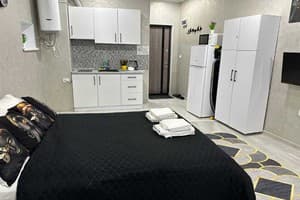 Апарт-отель Kuznechna street. Студио двухместный кв 4 6