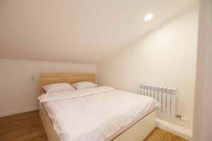 Апарт-отель Nordian. Студио трехместный  1