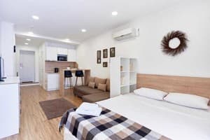 Апарт-отель Nordian. Студио трехместный  5