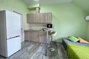 Апарт-отель Park Apartments. Стандарт двухместный с кухней 3