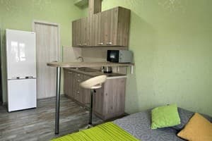 Апарт-отель Park Apartments. Стандарт двухместный с кухней 5