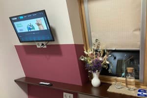 Отель Тремпель. Эконом одноместный № 9 5